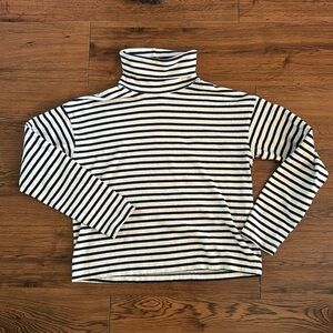 Madewell Striped Turtleneck
